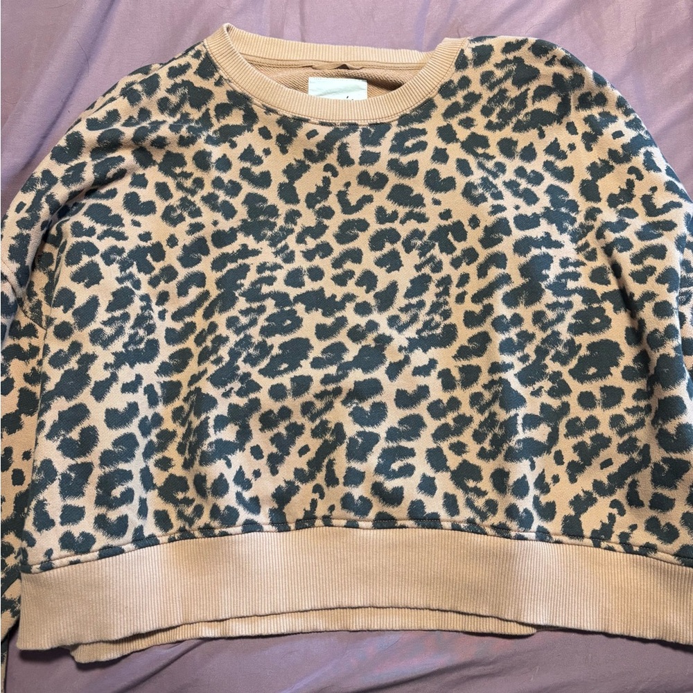 Aerie Crewneck Sweatshirt